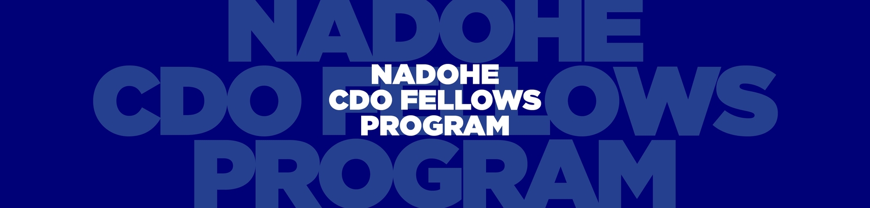 Chief Diversity Officer Fellows Program 